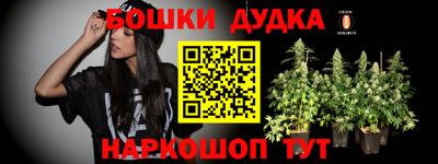 гашик Кулебаки