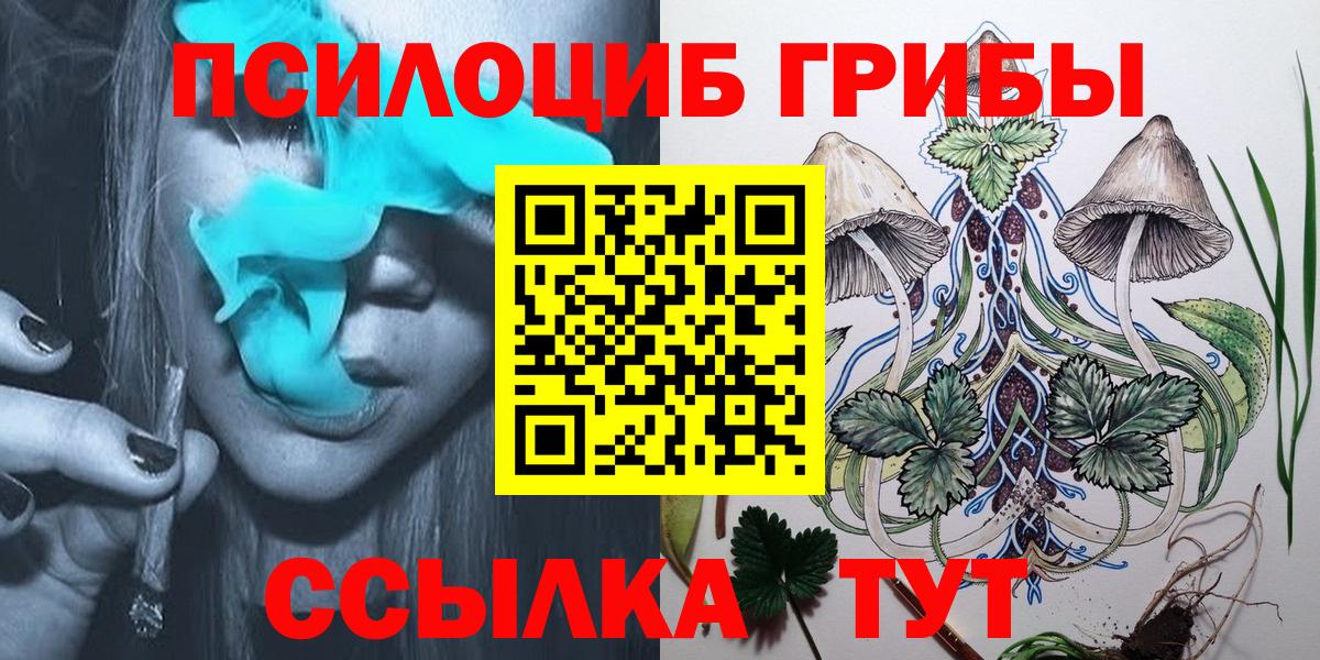Псилоцибиновые грибы прущие грибы  Вход с VPN  Каменск-Уральский 