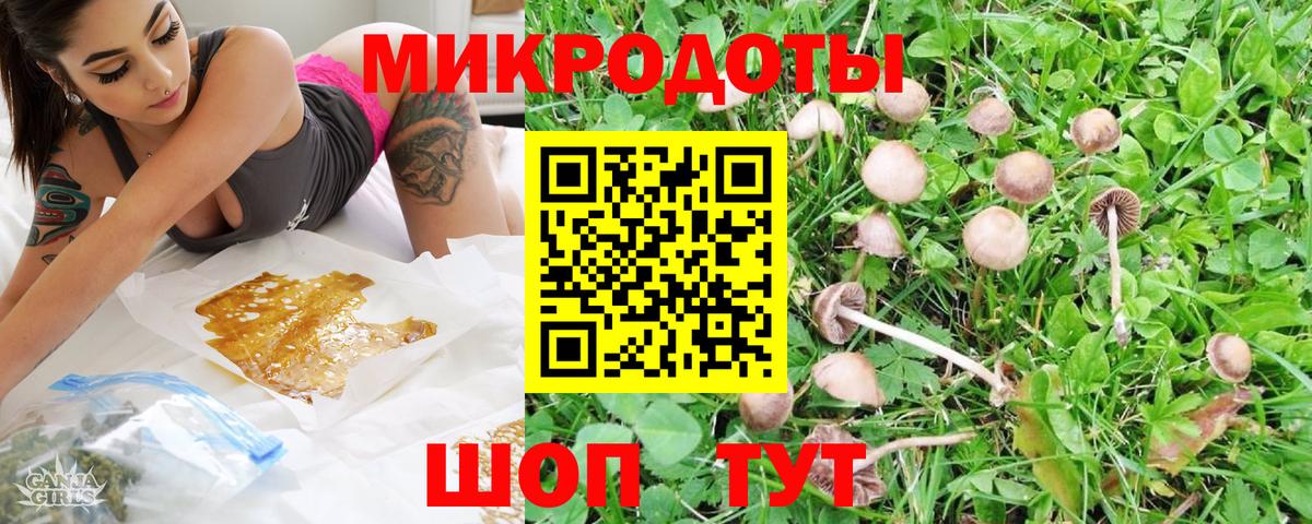 Псилоцибиновые грибы Psilocybine cubensis Каменск-Уральский
